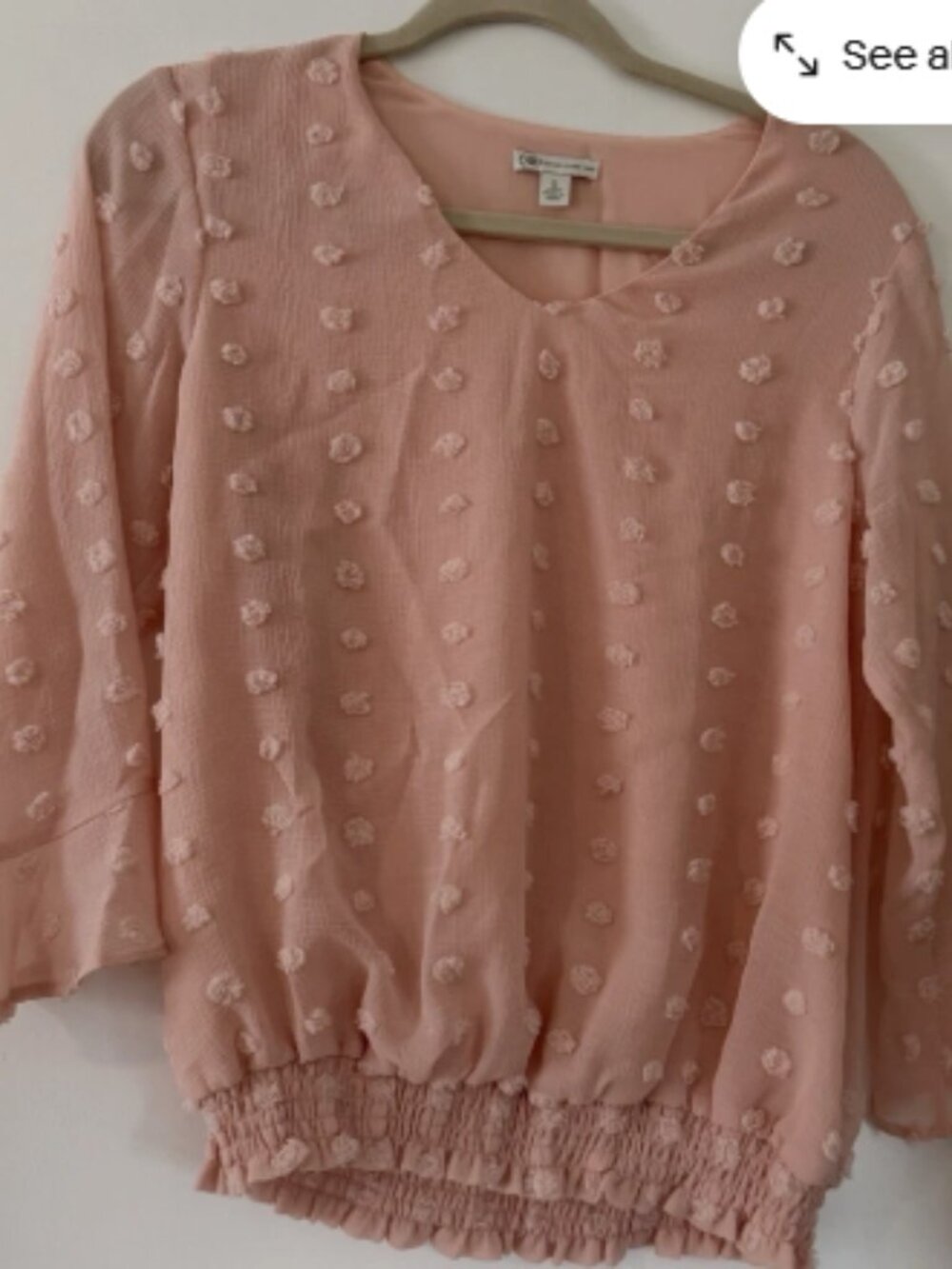 Cato Women's Pink Chiffon Swiss Dot Blouse V-Neck Smocked Hem 3/4 S